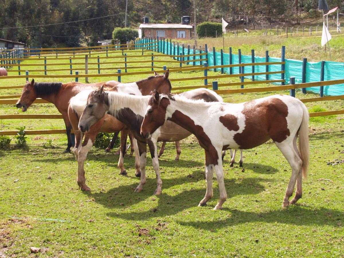 Hotel Rural La Esperanza Суеска Екстер'єр фото